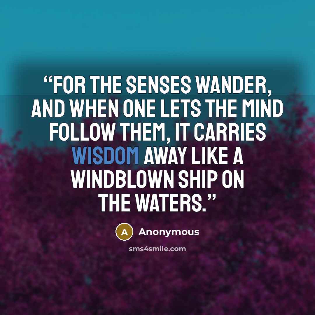 “For the senses wander, and when one lets the mind follow them, it carries wisdom away like a windblown ship on the waters.” quote by Anonymous