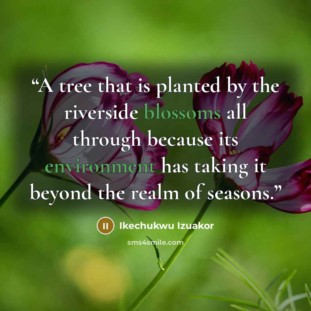 “A tree that is planted by the riverside blossoms all through because its environment has taking it beyond the realm of seasons.” quote by Ikechukwu Izuakor