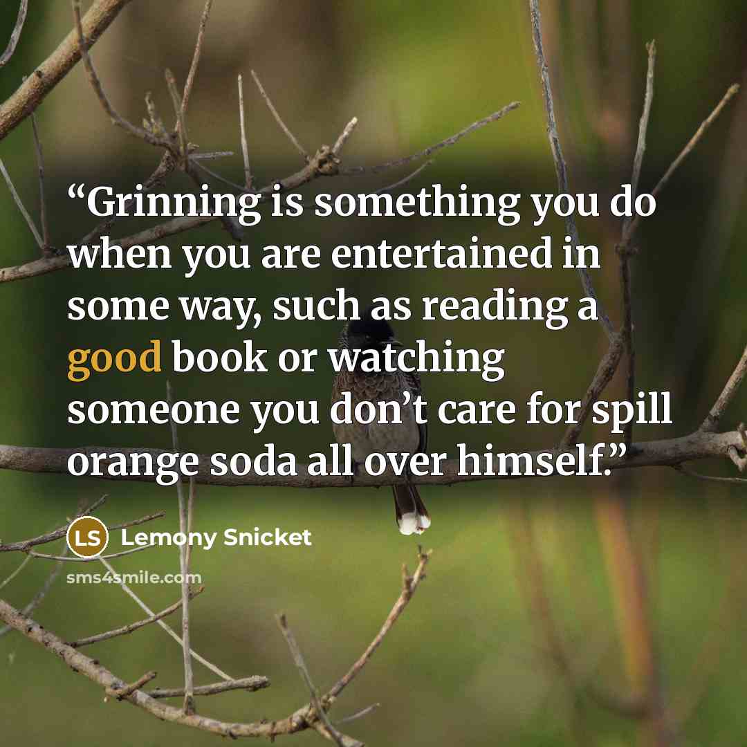 “Grinning is something you do when you are entertained in some way, such as reading a good book or watching someone you don’t care for spill orange soda all over himself.” quote by Lemony Snicket