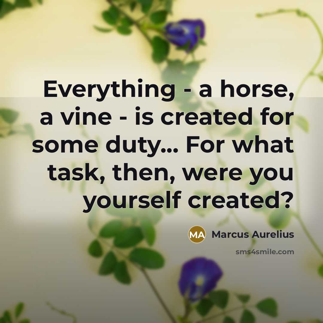 “Everything - a horse, a vine - is created for some duty... For what task, then, were you yourself created?” quote by Marcus Aurelius