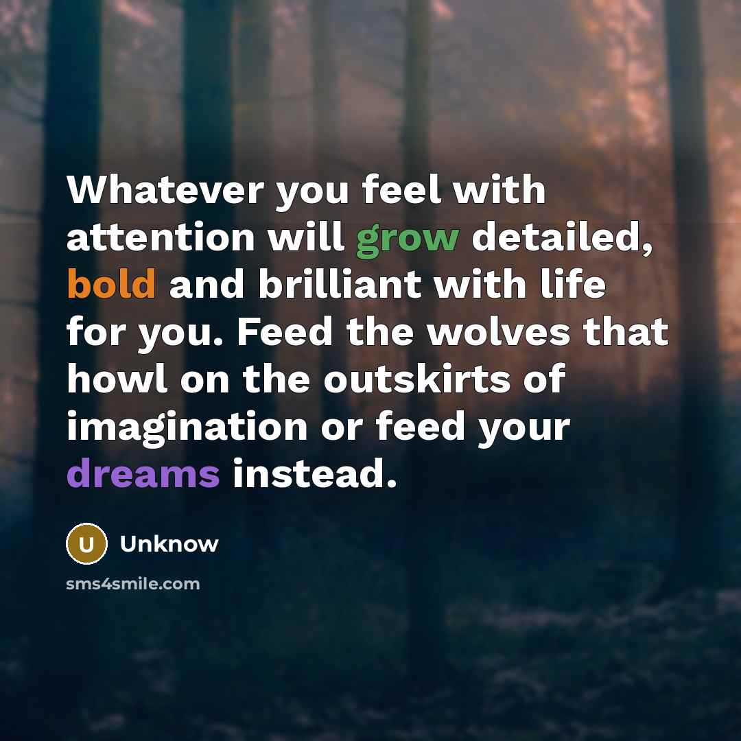 “Whatever you feel with attention will grow detailed, bold and brilliant with life for you. Feed the wolves that howl on the outskirts of imagination or feed your dreams instead.” quote by Unknow