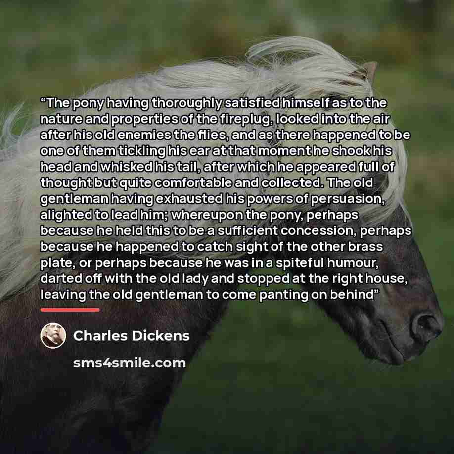 “The pony having thoroughly satisfied himself as to the nature and properties of the fireplug, looked into the air after his old enemies the flies, and as there happened to be one of them tickling his ear at that moment he shook his head and whisked his tail, after which he appeared full of thought…” quote by Charles Dickens