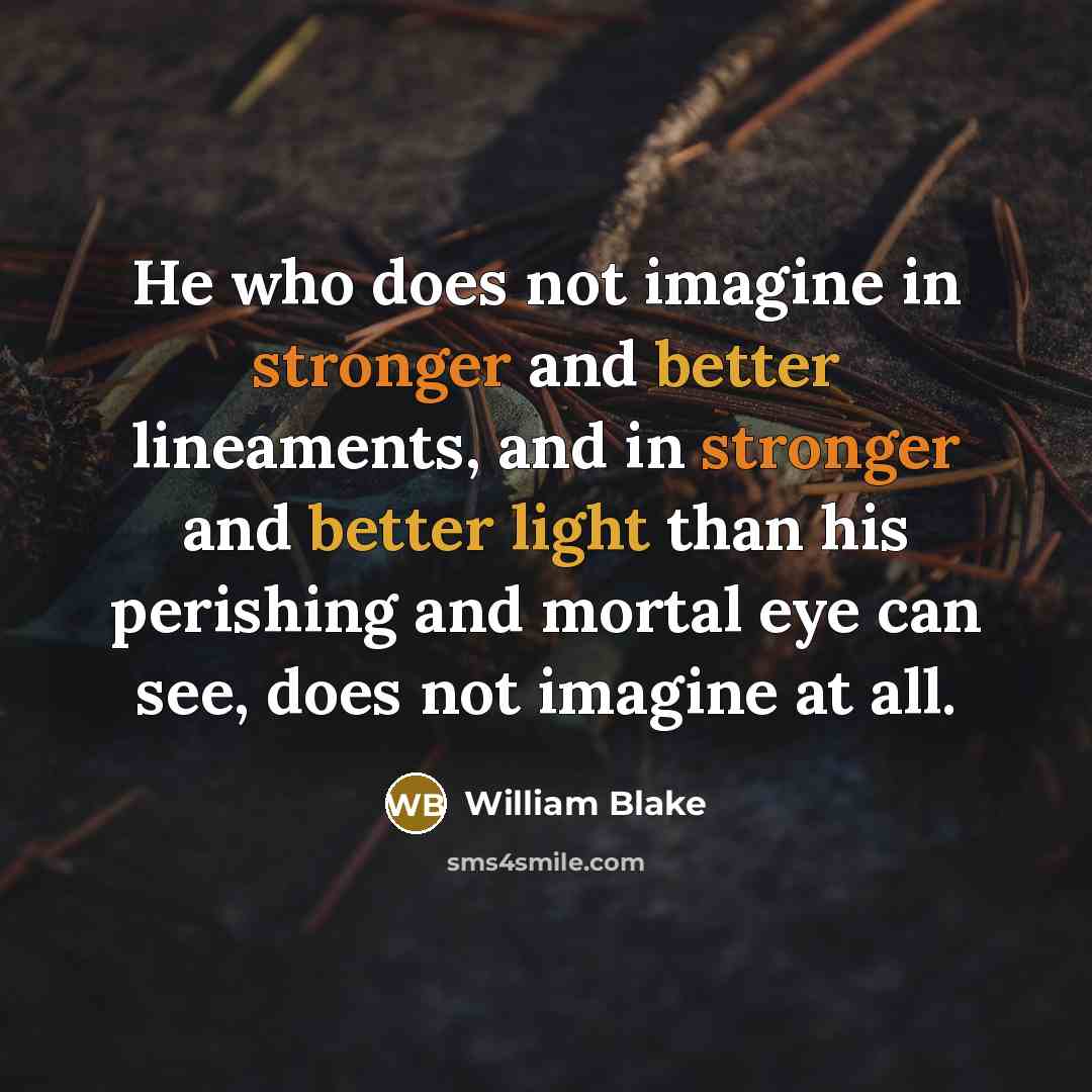 “He who does not imagine in stronger and better lineaments, and in stronger and better light than his perishing and mortal eye can see, does not imagine at all.” quote by William Blake