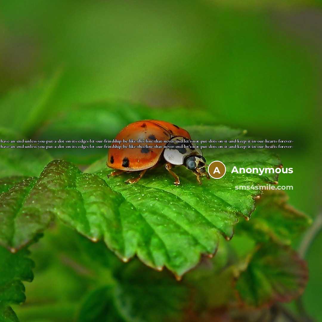 “-A-line-doesn't-have-an-end-unless-you-put-a-dot-on-its-edges-let-our-frindship-be-like-this-line-that-never-end-let's-not-put-dots-on-it-and-keep-it-in-our-hearts-forever…” quote by Anonymous