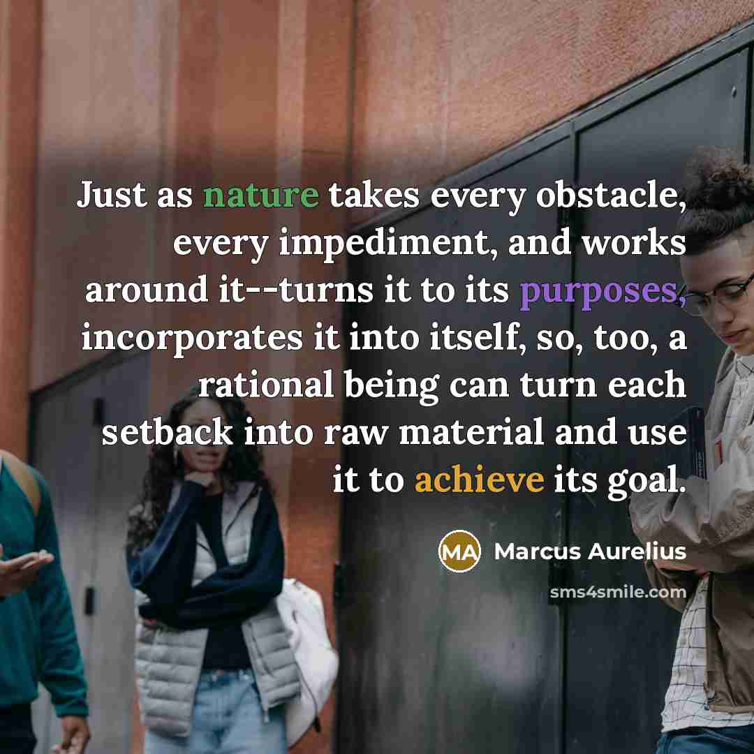 “Just as nature takes every obstacle, every impediment, and works around it--turns it to its purposes, incorporates it into itself, so, too, a rational being can turn each setback into raw material and use it to achieve its goal.” quote by Marcus Aurelius