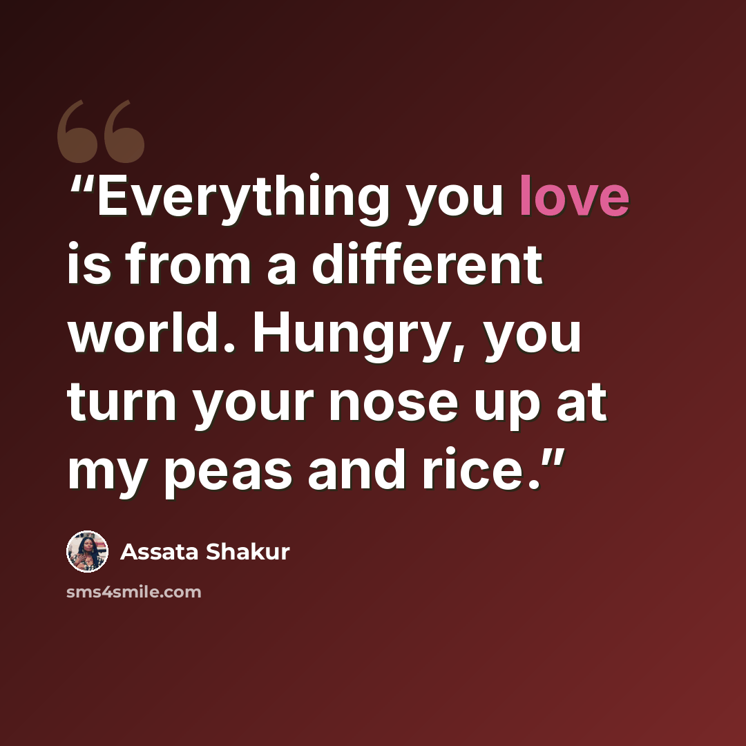 “Everything you love is from a different world. Hungry, you turn your nose up at my peas and rice.” quote by Assata Shakur