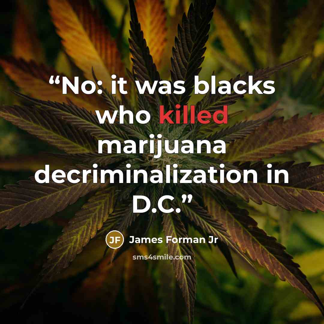 “No: it was blacks who killed marijuana decriminalization in D.C.” quote by James Forman Jr