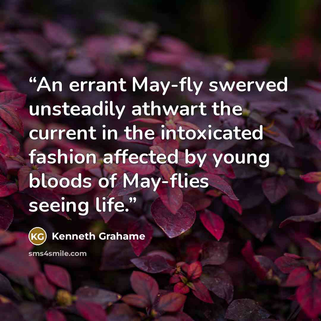 “An errant May-fly swerved unsteadily athwart the current in the intoxicated fashion affected by young bloods of May-flies seeing life.” quote by Kenneth Grahame