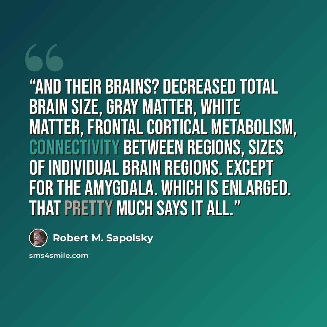 “And their brains? Decreased total brain size, gray matter, white matter, frontal cortical metabolism, connectivity between regions, sizes of individual brain regions. Except for the amygdala. Which is enlarged. That pretty much says it all.” quote by Robert M. Sapolsky