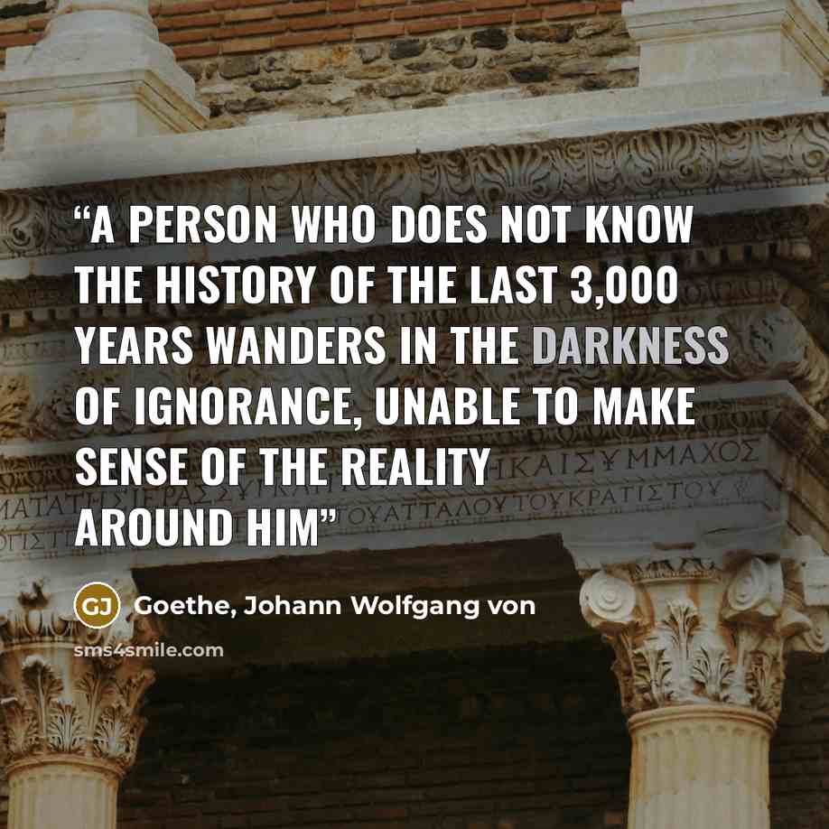 “A person who does not know the history of the last 3,000 years wanders in the darkness of ignorance, unable to make sense of the reality around him” quote by Goethe, Johann Wolfgang von