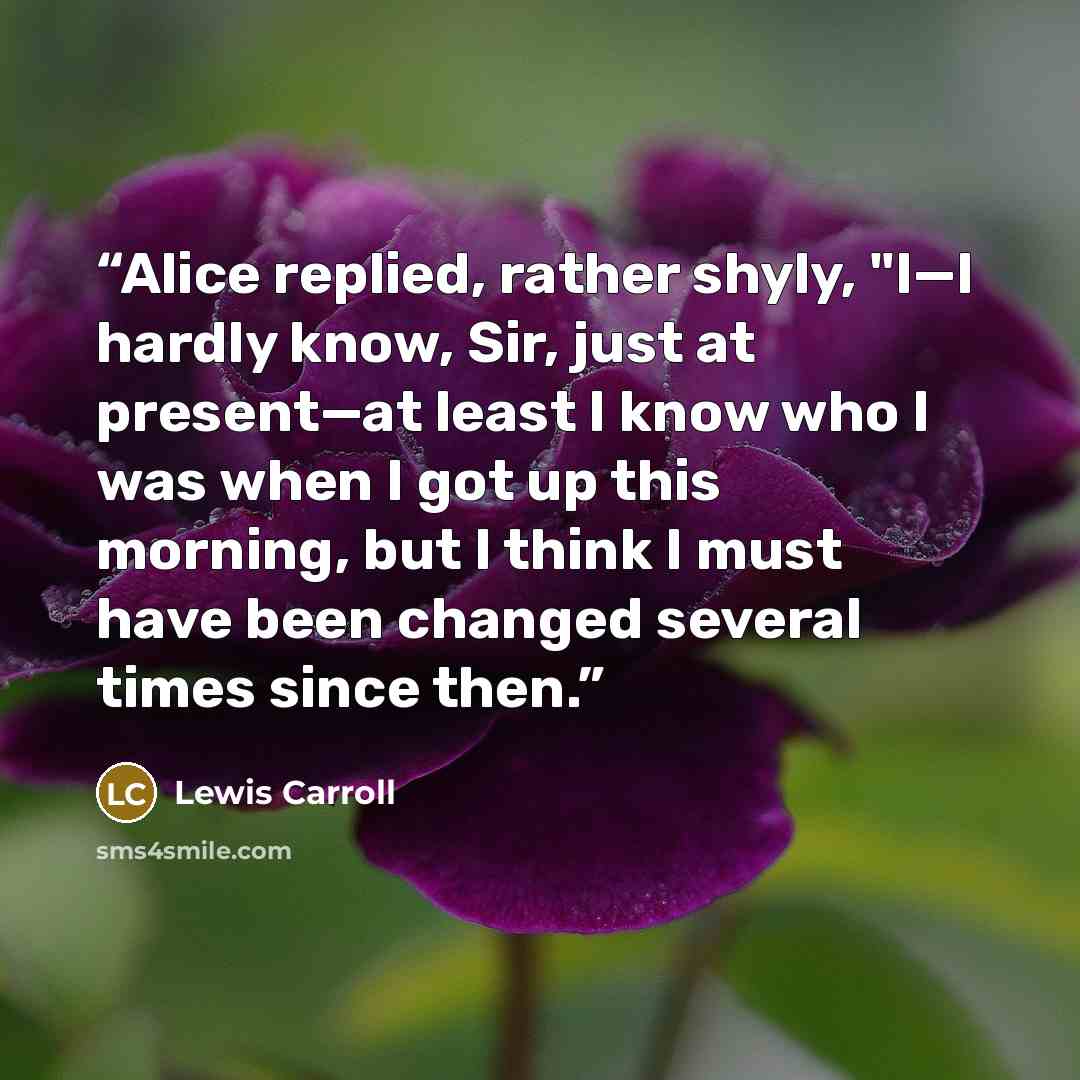 “Alice replied, rather shyly, "I—I hardly know, Sir, just at present—at least I know who I was when I got up this morning, but I think I must have been changed several times since then.” quote by Lewis Carroll