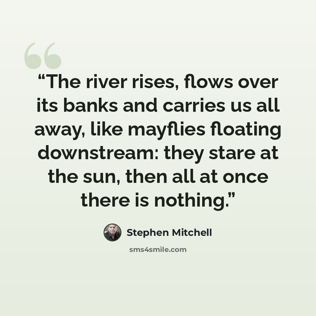“The river rises, flows over its banks and carries us all away, like mayflies floating downstream: they stare at the sun, then all at once there is nothing.” quote by Stephen Mitchell