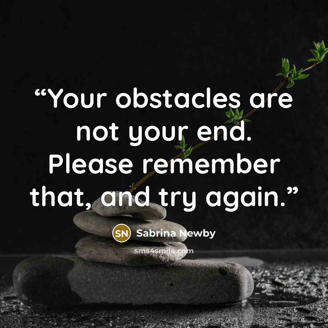“Your obstacles are not your end. Please remember that, and try again.” quote by Sabrina Newby