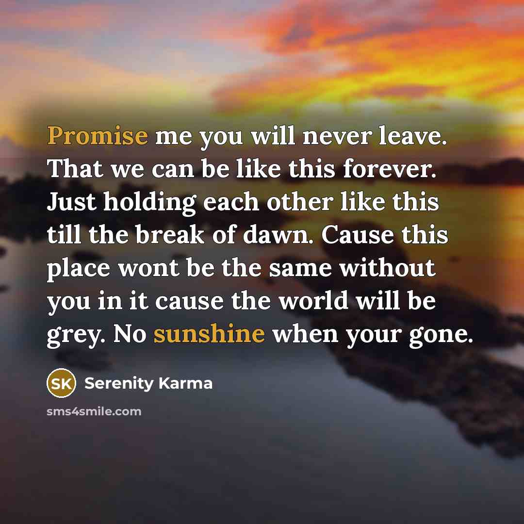 “Promise me you will never leave. That we can be like this forever. Just holding each other like this till the break of dawn. Cause this place wont be the same without you in it cause the world will be grey. No sunshine when your gone.” quote by Serenity Karma