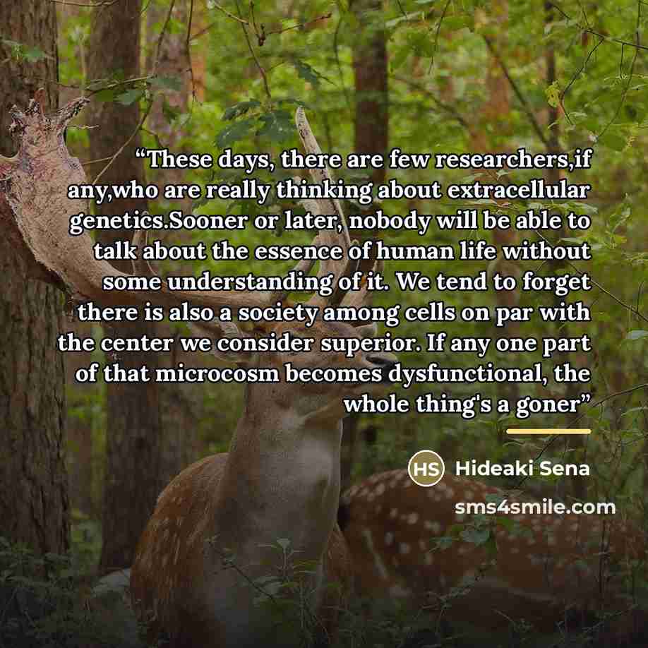 “These days, there are few researchers,if any,who are really thinking about extracellular genetics.Sooner or later, nobody will be able to talk about the essence of human life without some understanding of it. We tend to forget there is also a society among cells on par with the center we consider…” quote by Hideaki Sena