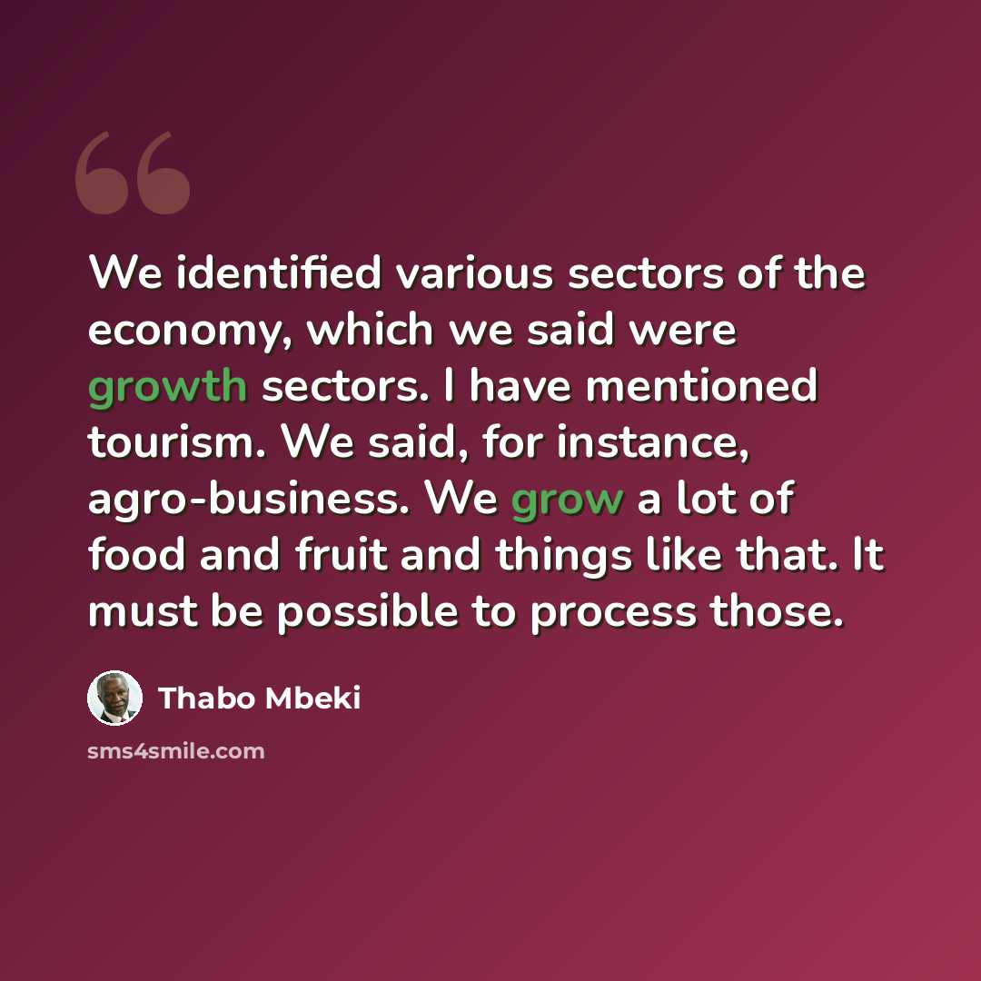 “We identified various sectors of the economy, which we said were growth sectors. I have mentioned tourism. We said, for instance, agro-business. We grow a lot of food and fruit and things like that. It must be possible to process those.” quote by Thabo Mbeki