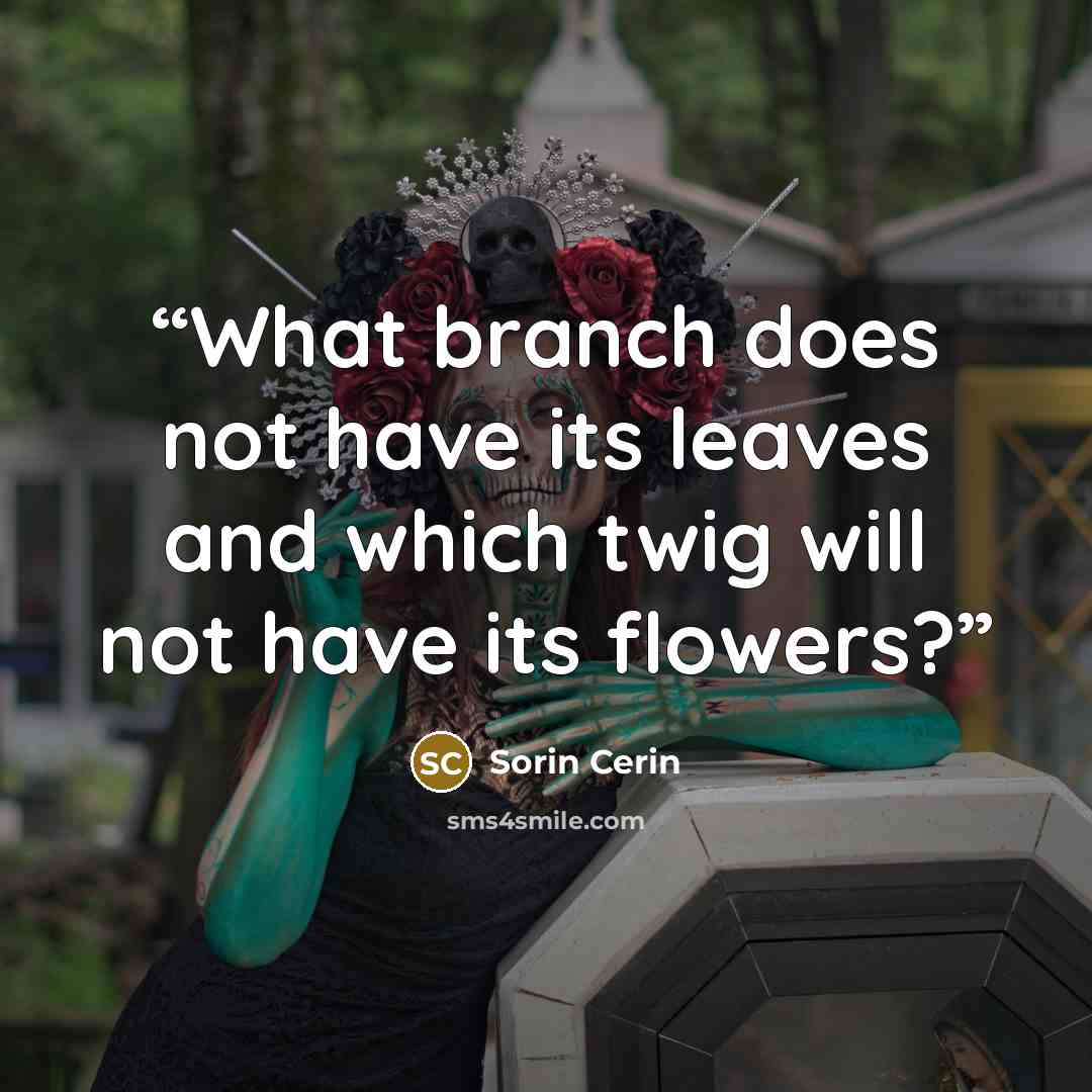 “What branch does not have its leaves and which twig will not have its flowers?” quote by Sorin Cerin