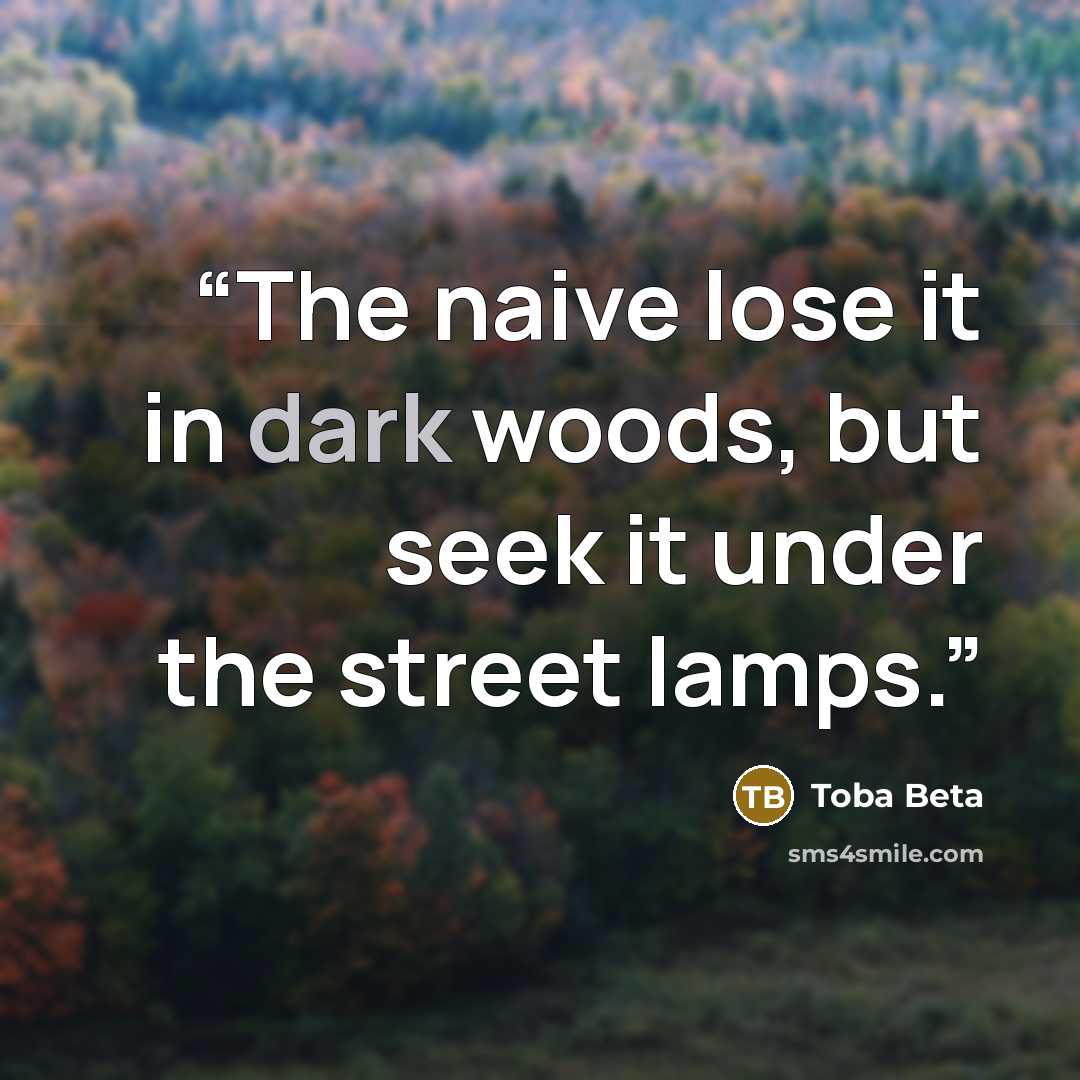 “The naive lose it in dark woods, but seek it under the street lamps.” quote by Toba Beta