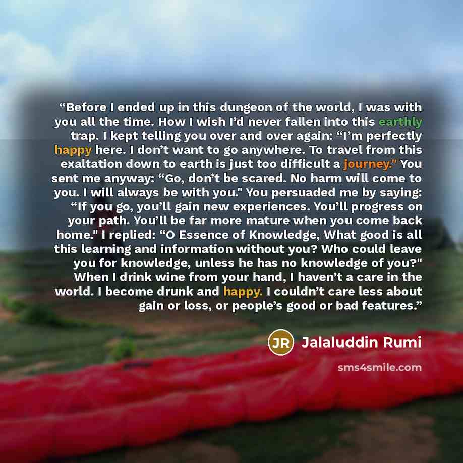 “Before I ended up in this dungeon of the world, I was with you all the time. How I wish I’d never fallen into this earthly trap. I kept telling you over and over again: “I’m perfectly happy here. I don’t want to go anywhere. To travel from this exaltation down to earth is just too difficult a…” quote by Jalaluddin Rumi