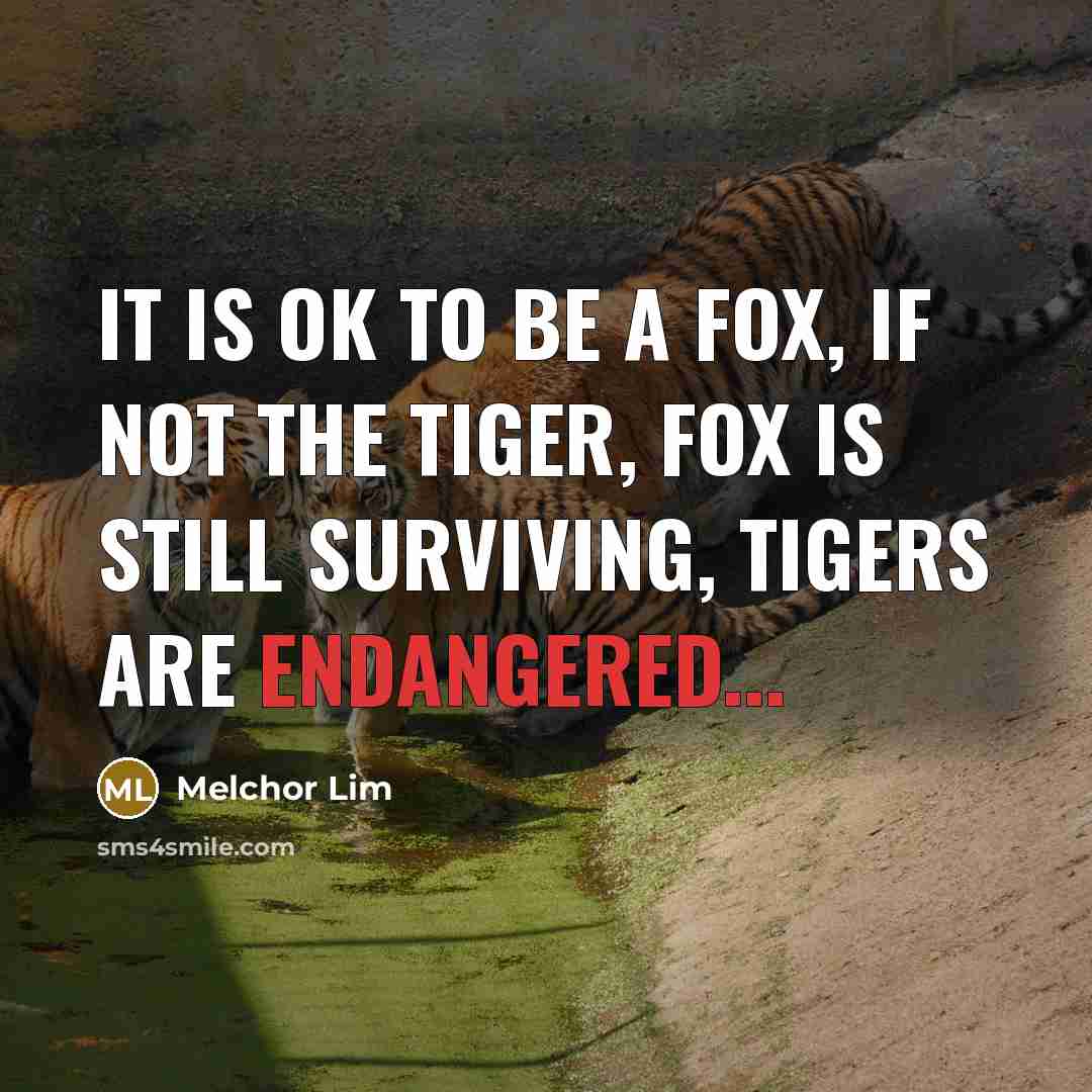 “It is ok to be a fox, if not the tiger, fox is still surviving, tigers are endangered...” quote by Melchor Lim