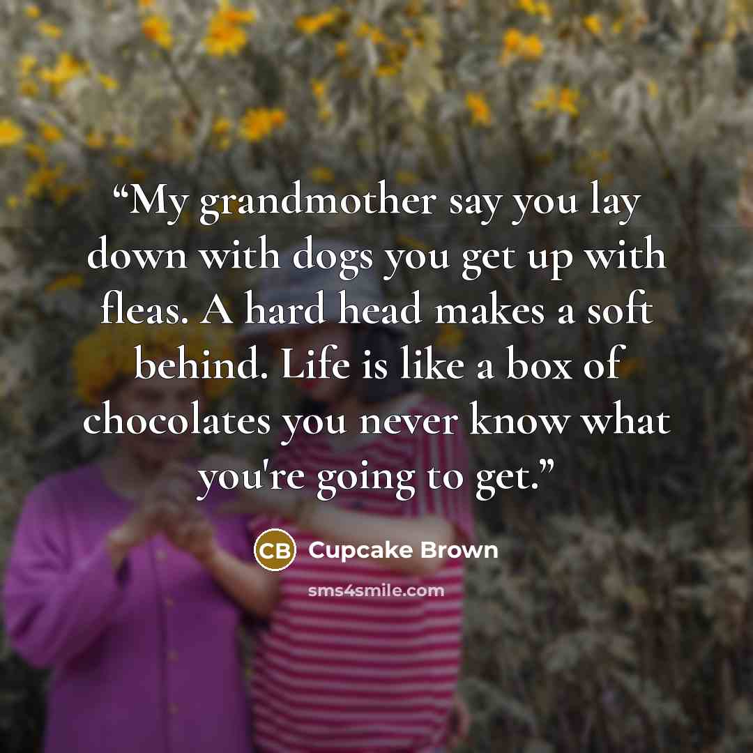 “My grandmother say you lay down with dogs you get up with fleas. A hard head makes a soft behind. Life is like a box of chocolates you never know what you're going to get.” quote by Cupcake Brown