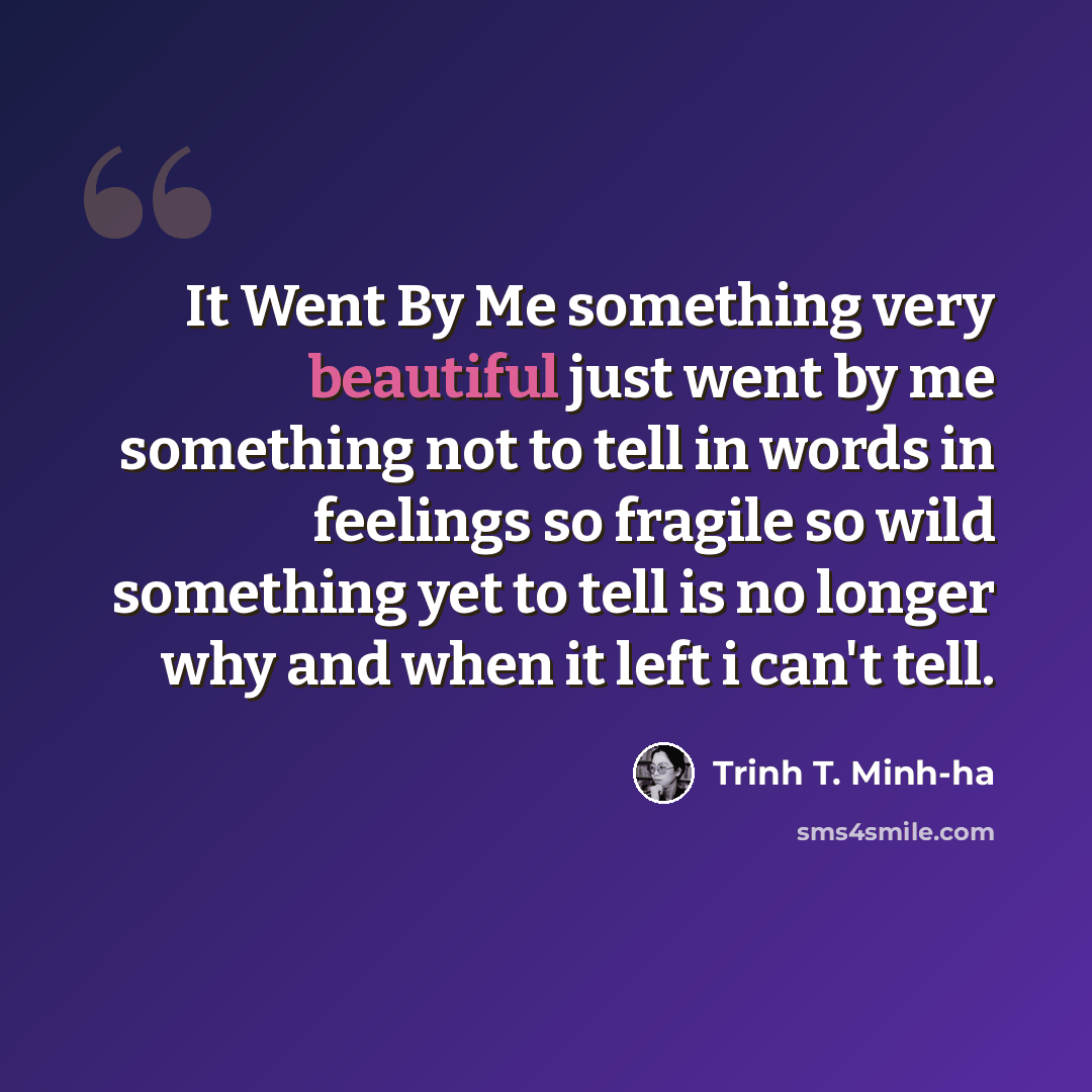 “It Went By Me something very beautiful just went by me something not to tell in words in feelings so fragile so wild something yet to tell is no longer why and when it left i can't tell.” quote by Trinh T. Minh-ha