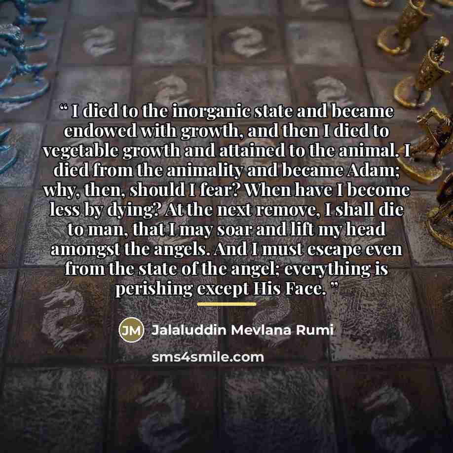 “I died to the inorganic state and became endowed with growth, and then I died to vegetable growth and attained to the animal. I died from the animality and became Adam; why, then, should I fear? When have I become less by dying? At the next remove, I shall die to man, that I may soar and lift my…” quote by Jalaluddin Mevlana Rumi