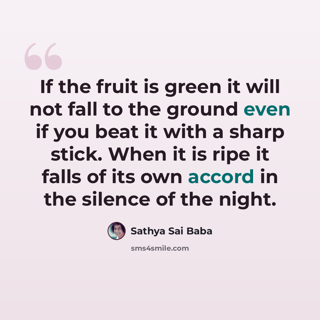 “If the fruit is green it will not fall to the ground even if you beat it with a sharp stick. When it is ripe it falls of its own accord in the silence of the night.” quote by Sathya Sai Baba