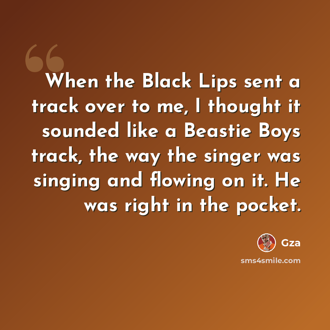 “When the Black Lips sent a track over to me, I thought it sounded like a Beastie Boys track, the way the singer was singing and flowing on it. He was right in the pocket.” quote by Gza