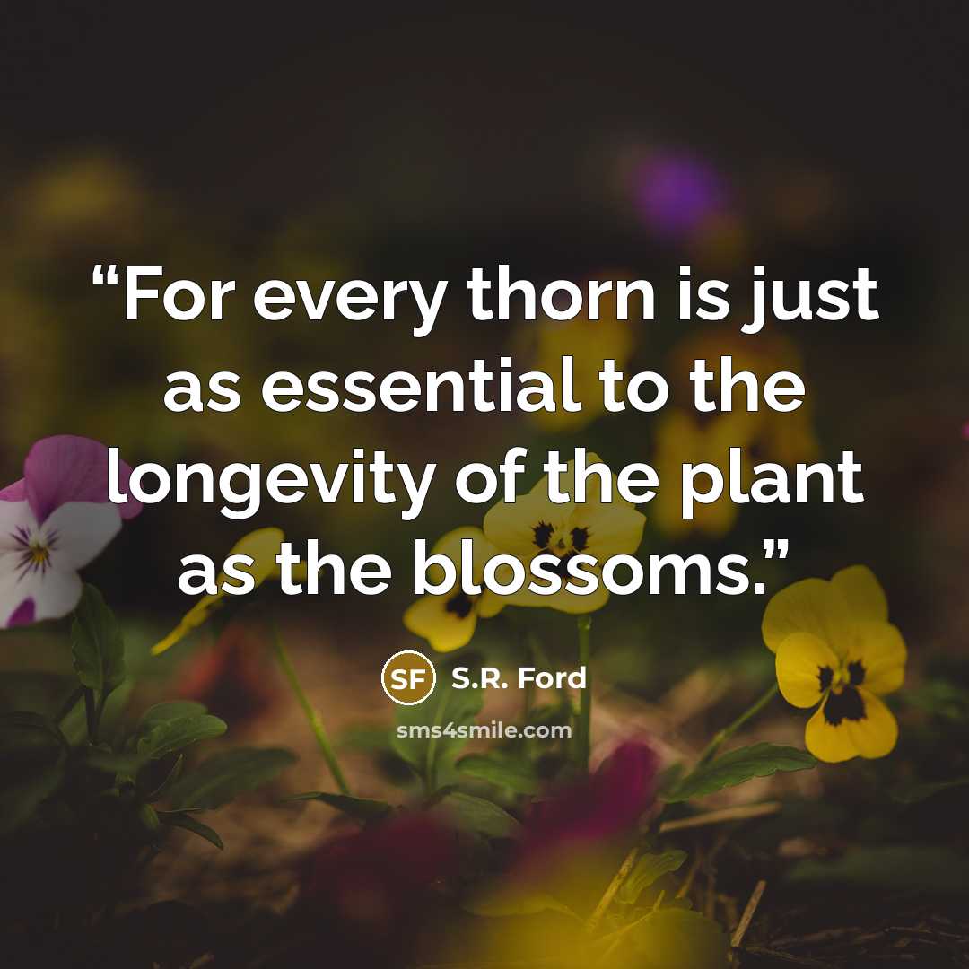 “For every thorn is just as essential to the longevity of the plant as the blossoms.” quote by S.R. Ford