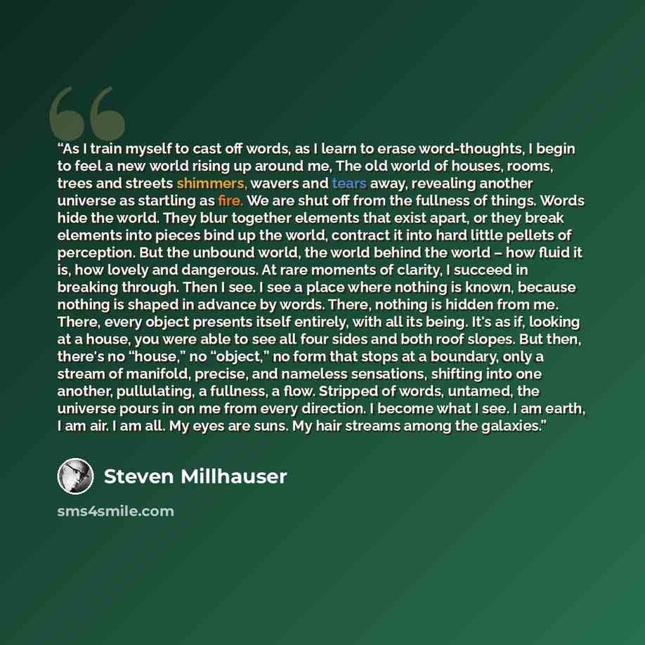 “As I train myself to cast off words, as I learn to erase word-thoughts, I begin to feel a new world rising up around me, The old world of houses, rooms, trees and streets shimmers, wavers and tears away, revealing another universe as startling as fire. We are shut off from the fullness of things…” quote by Steven Millhauser