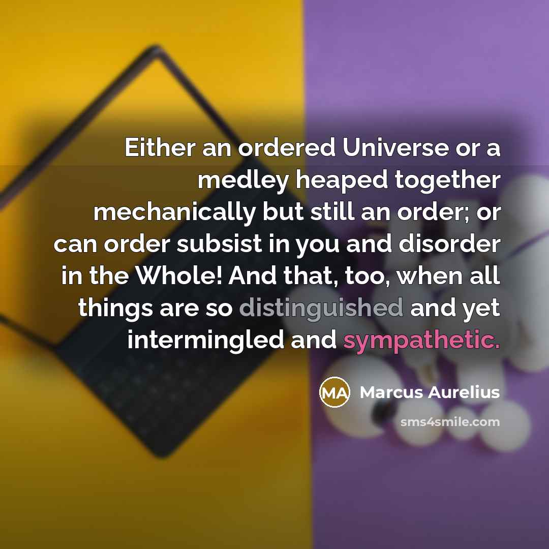 “Either an ordered Universe or a medley heaped together mechanically but still an order; or can order subsist in you and disorder in the Whole! And that, too, when all things are so distinguished and yet intermingled and sympathetic.” quote by Marcus Aurelius