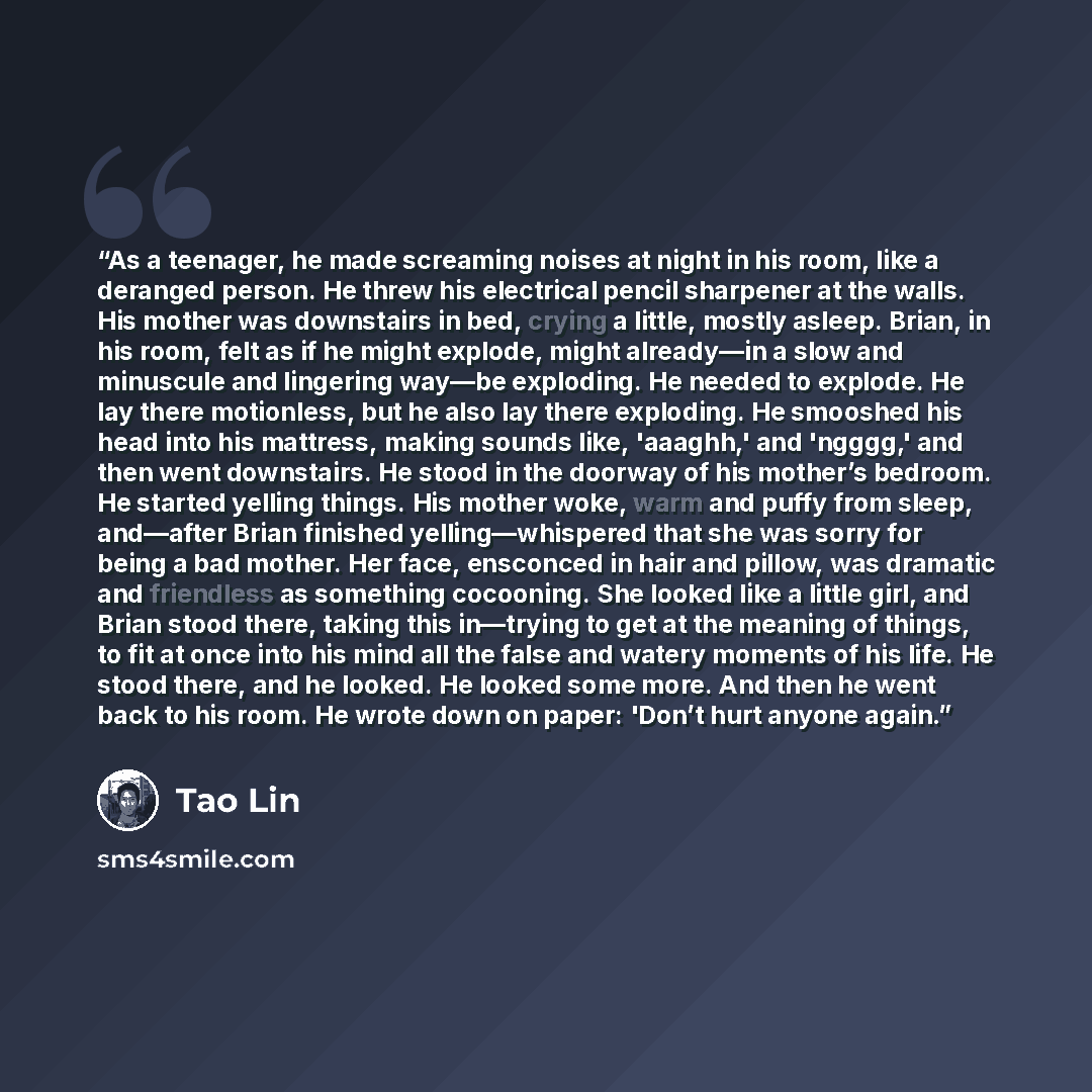 “As a teenager, he made screaming noises at night in his room, like a deranged person. He threw his electrical pencil sharpener at the walls. His mother was downstairs in bed, crying a little, mostly asleep. Brian, in his room, felt as if he might explode, might already—in a slow and minuscule and…” quote by Tao Lin