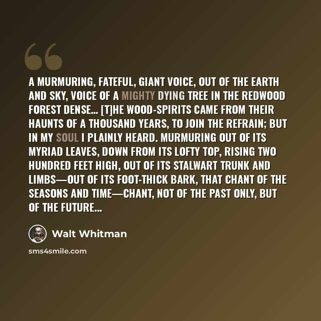 “A murmuring, fateful, giant voice, out of the earth and sky, Voice of a mighty dying tree in the Redwood forest dense… [T]he wood-spirits came from their haunts of a thousand years, to join the refrain; But in my soul I plainly heard. Murmuring out of its myriad leaves, Down from its lofty top…” quote by Walt Whitman