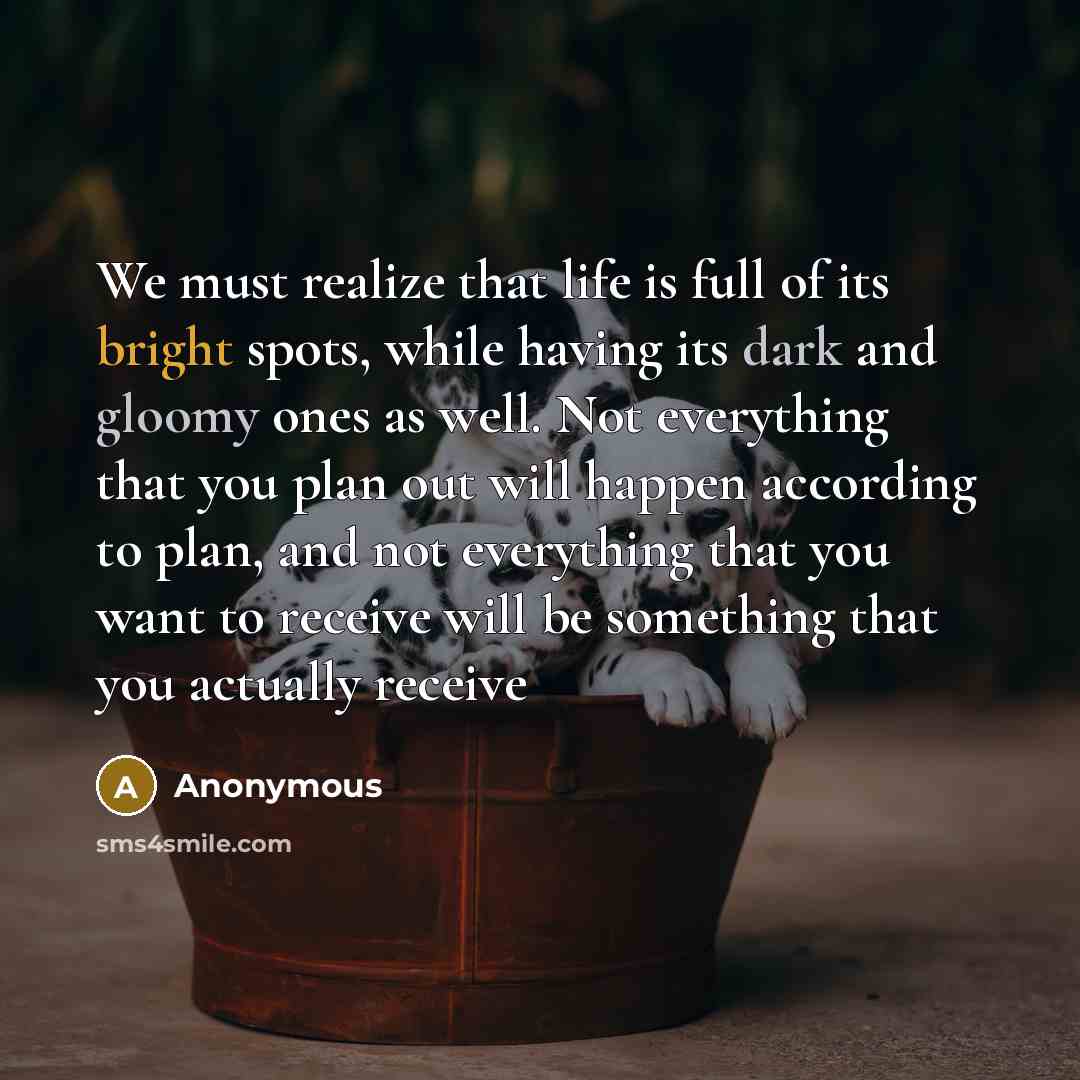 “We must realize that life is full of its bright spots, while having its dark and gloomy ones as well. Not everything that you plan out will happen according to plan, and not everything that you want to receive will be something that you actually receive” quote by Anonymous