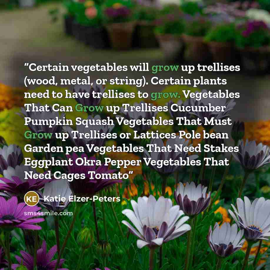 “Certain vegetables will grow up trellises (wood, metal, or string). Certain plants need to have trellises to grow. Vegetables That Can Grow up Trellises Cucumber Pumpkin Squash Vegetables That Must Grow up Trellises or Lattices Pole bean Garden pea Vegetables That Need Stakes Eggplant Okra Pepper…” quote by Katie Elzer-Peters
