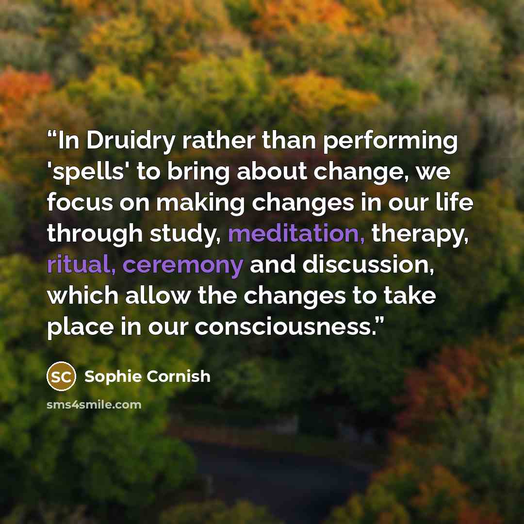 “In Druidry rather than performing 'spells' to bring about change, we focus on making changes in our life through study, meditation, therapy, ritual, ceremony and discussion, which allow the changes to take place in our consciousness.” quote by Sophie Cornish