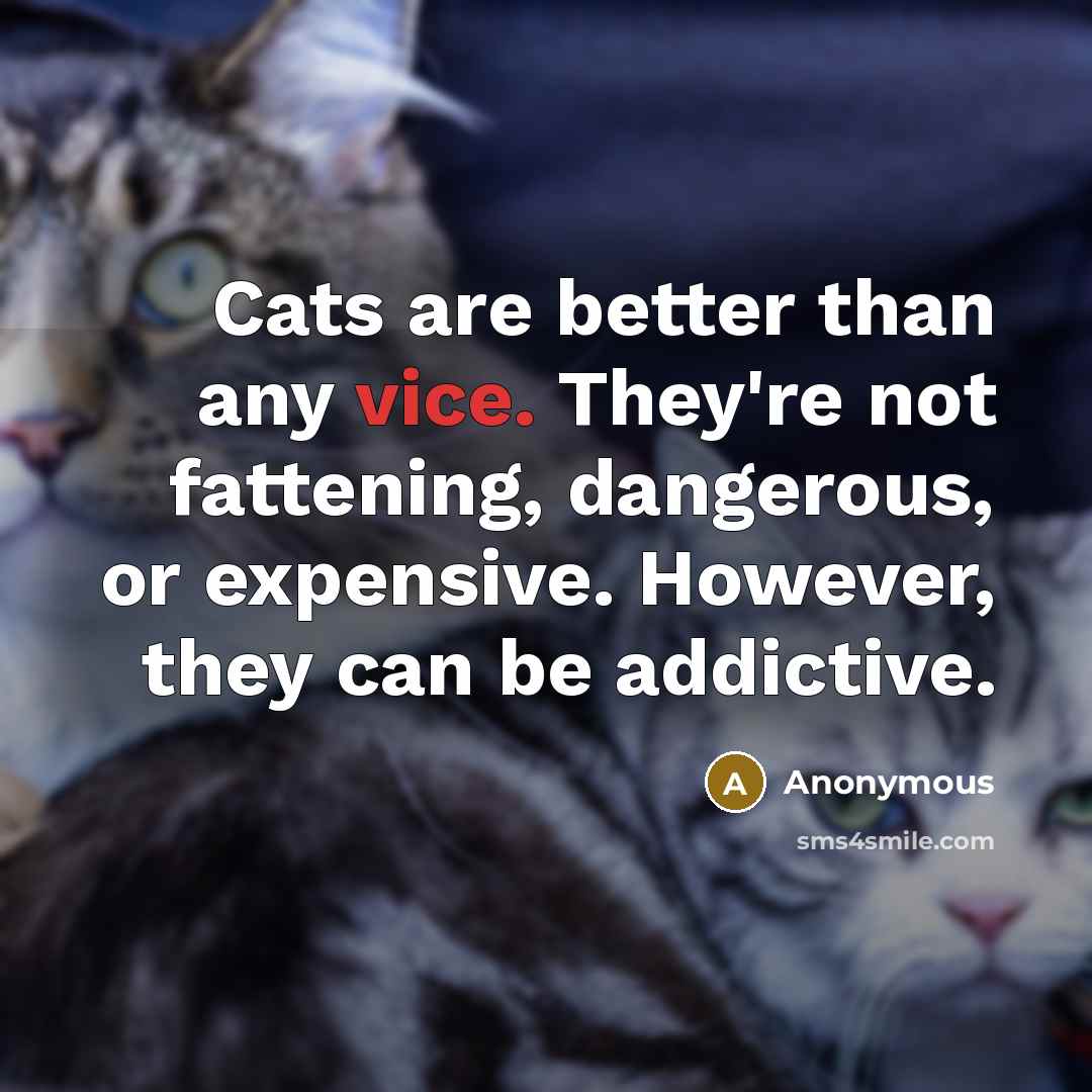 “Cats are better than any vice. They're not fattening, dangerous, or expensive. However, they can be addictive.” quote by Anonymous