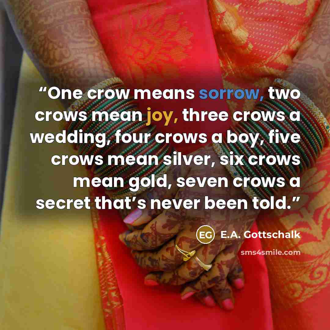 “One crow means sorrow, two crows mean joy, three crows a wedding, four crows a boy, five crows mean silver, six crows mean gold, seven crows a secret that’s never been told.” quote by E.A. Gottschalk