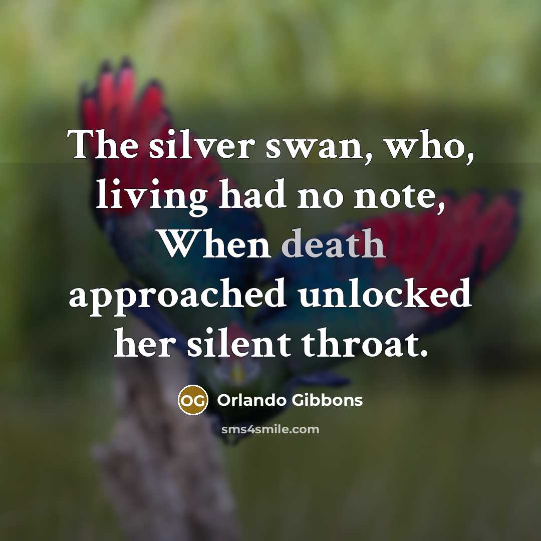 “The silver swan, who, living had no note, When death approached unlocked her silent throat.” quote by Orlando Gibbons