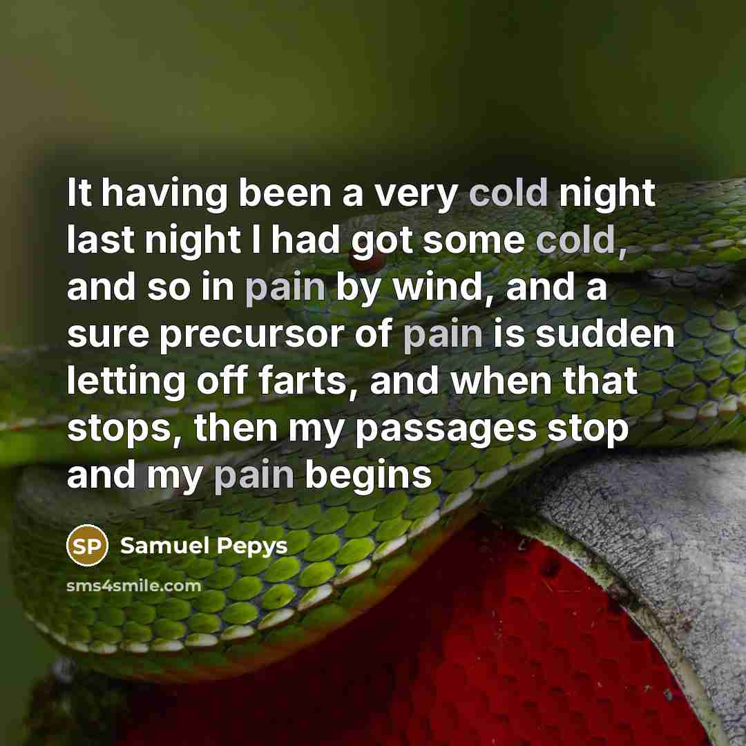 “It having been a very cold night last night I had got some cold, and so in pain by wind, and a sure precursor of pain is sudden letting off farts, and when that stops, then my passages stop and my pain begins” quote by Samuel Pepys