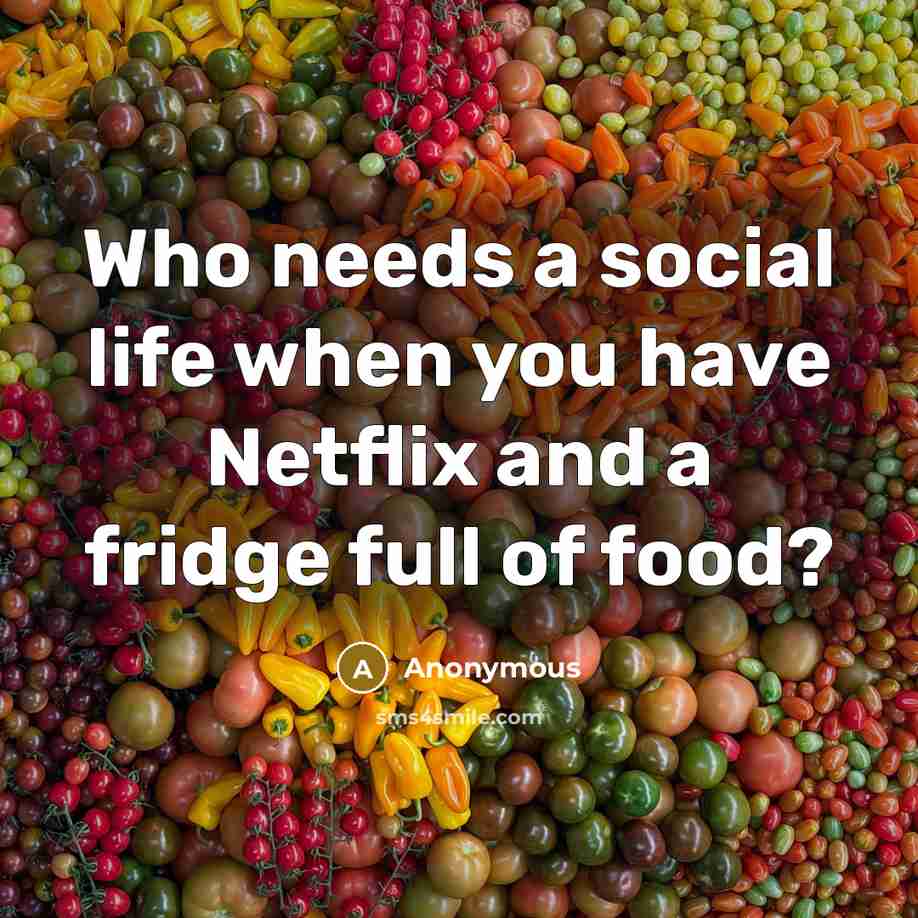 “Who needs a social life when you have Netflix and a fridge full of food?” quote by Anonymous
