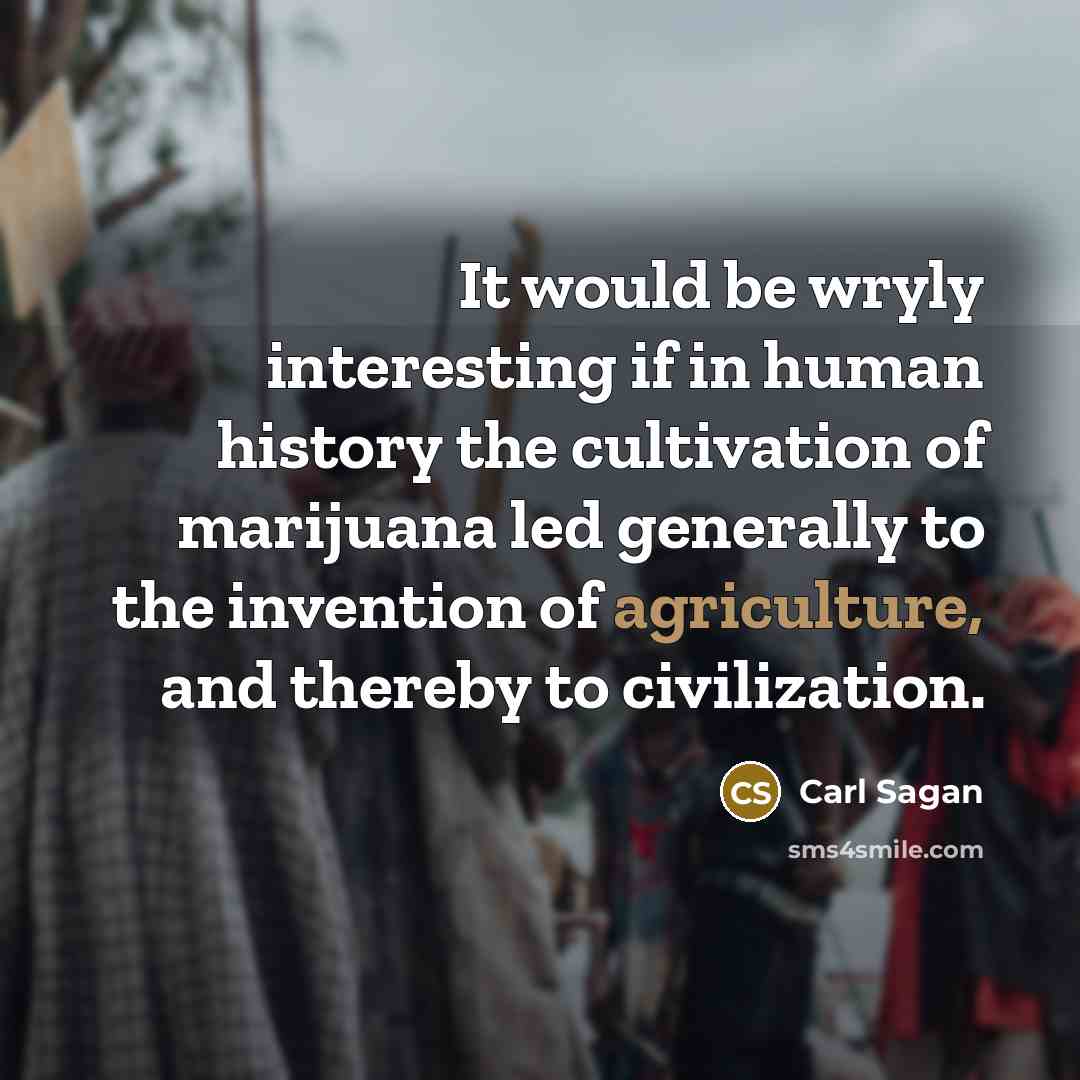 “It would be wryly interesting if in human history the cultivation of marijuana led generally to the invention of agriculture, and thereby to civilization.” quote by Carl Sagan