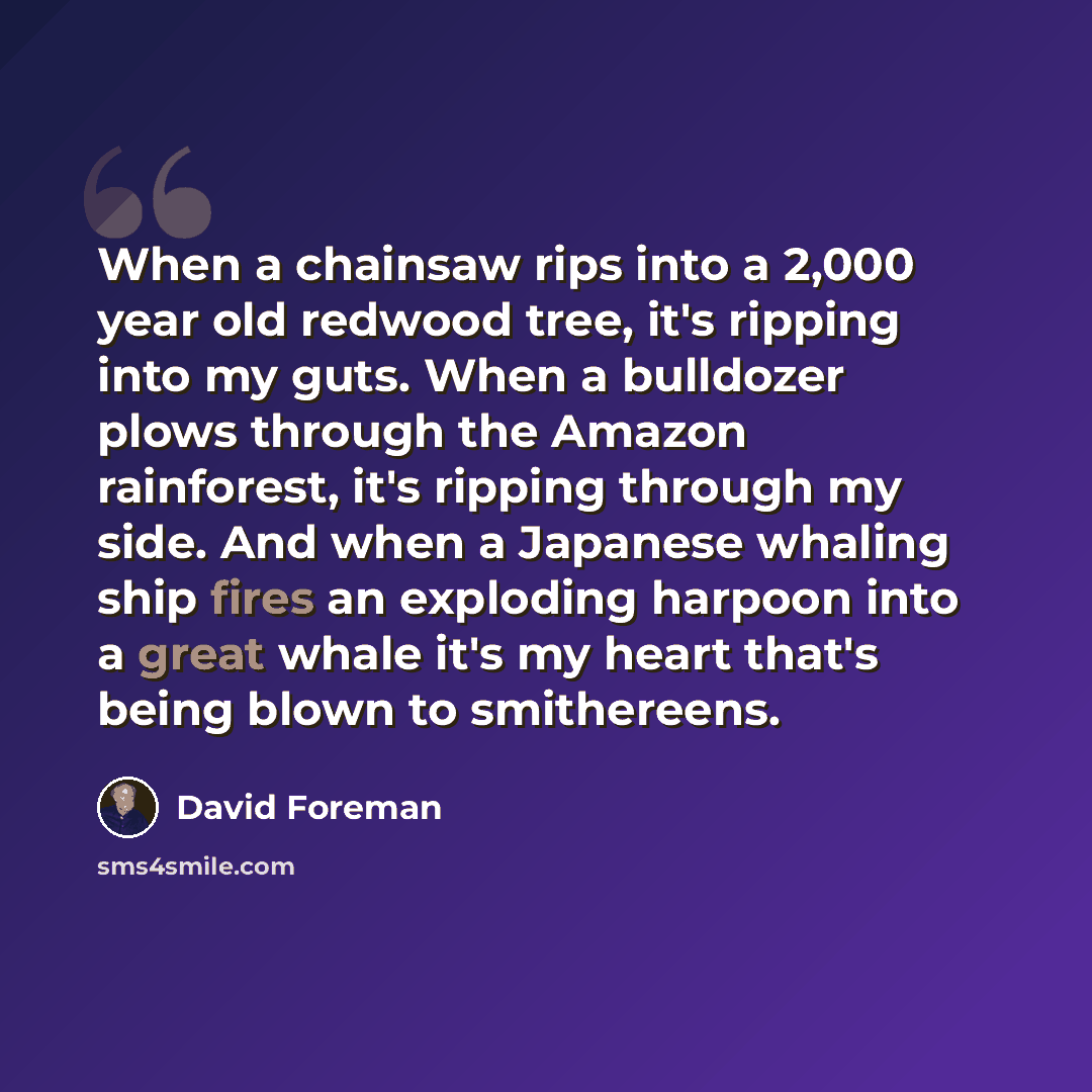 “When a chainsaw rips into a 2,000 year old redwood tree, it's ripping into my guts. When a bulldozer plows through the Amazon rainforest, it's ripping through my side. And when a Japanese whaling ship fires an exploding harpoon into a great whale it's my heart that's being blown to smithereens.” quote by David Foreman