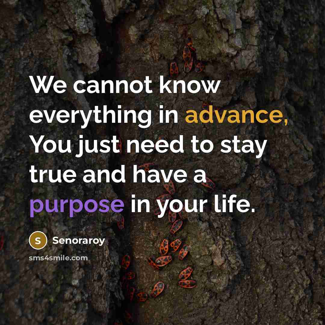 “We cannot know everything in advance, You just need to stay true and have a purpose in your life.” quote by Senoraroy