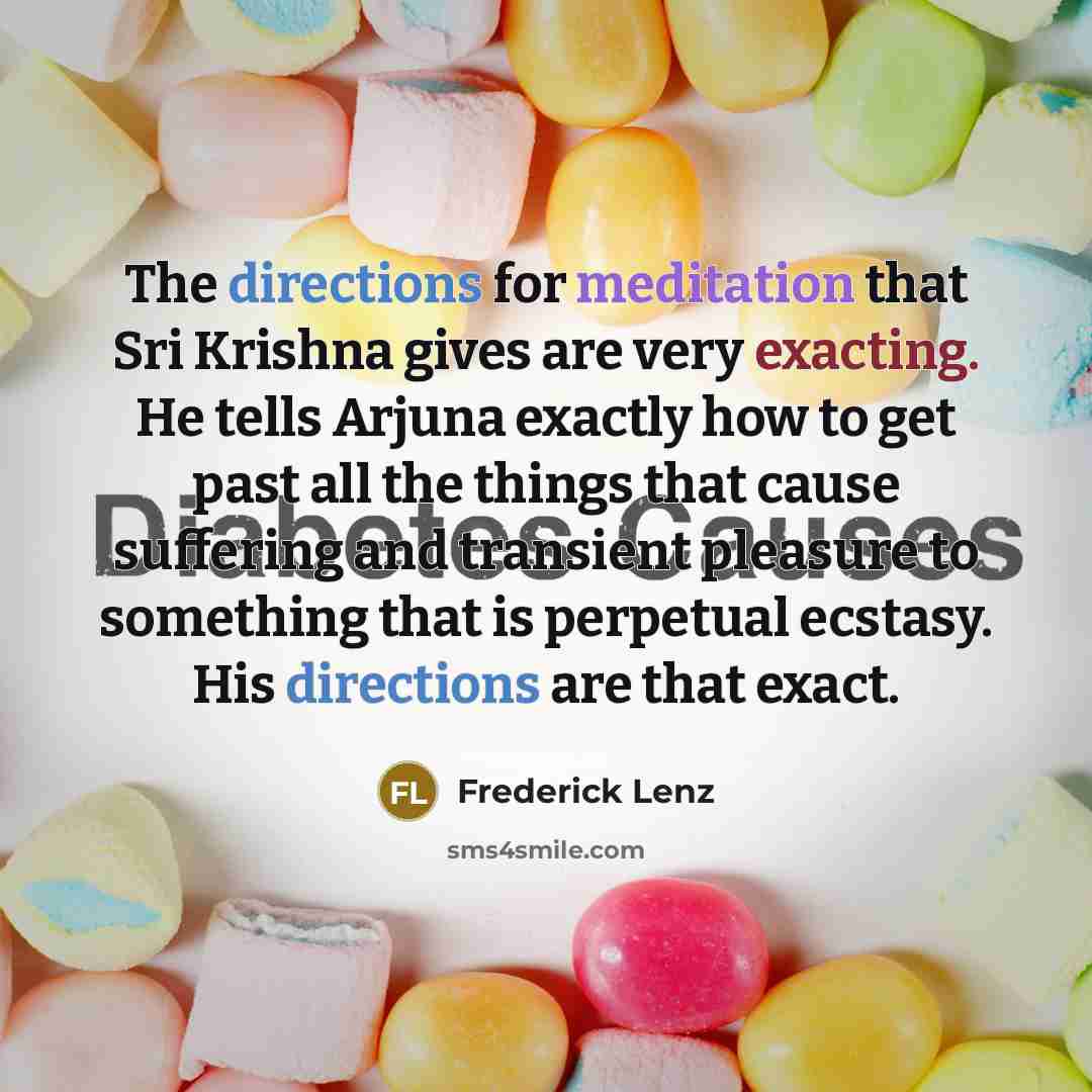 “The directions for meditation that Sri Krishna gives are very exacting. He tells Arjuna exactly how to get past all the things that cause suffering and transient pleasure to something that is perpetual ecstasy. His directions are that exact.” quote by Frederick Lenz