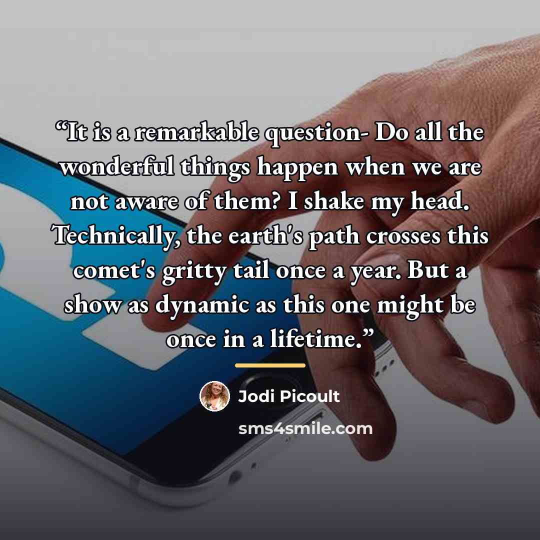 “It is a remarkable question- Do all the wonderful things happen when we are not aware of them? I shake my head. Technically, the earth's path crosses this comet's gritty tail once a year. But a show as dynamic as this one might be once in a lifetime.” quote by Jodi Picoult