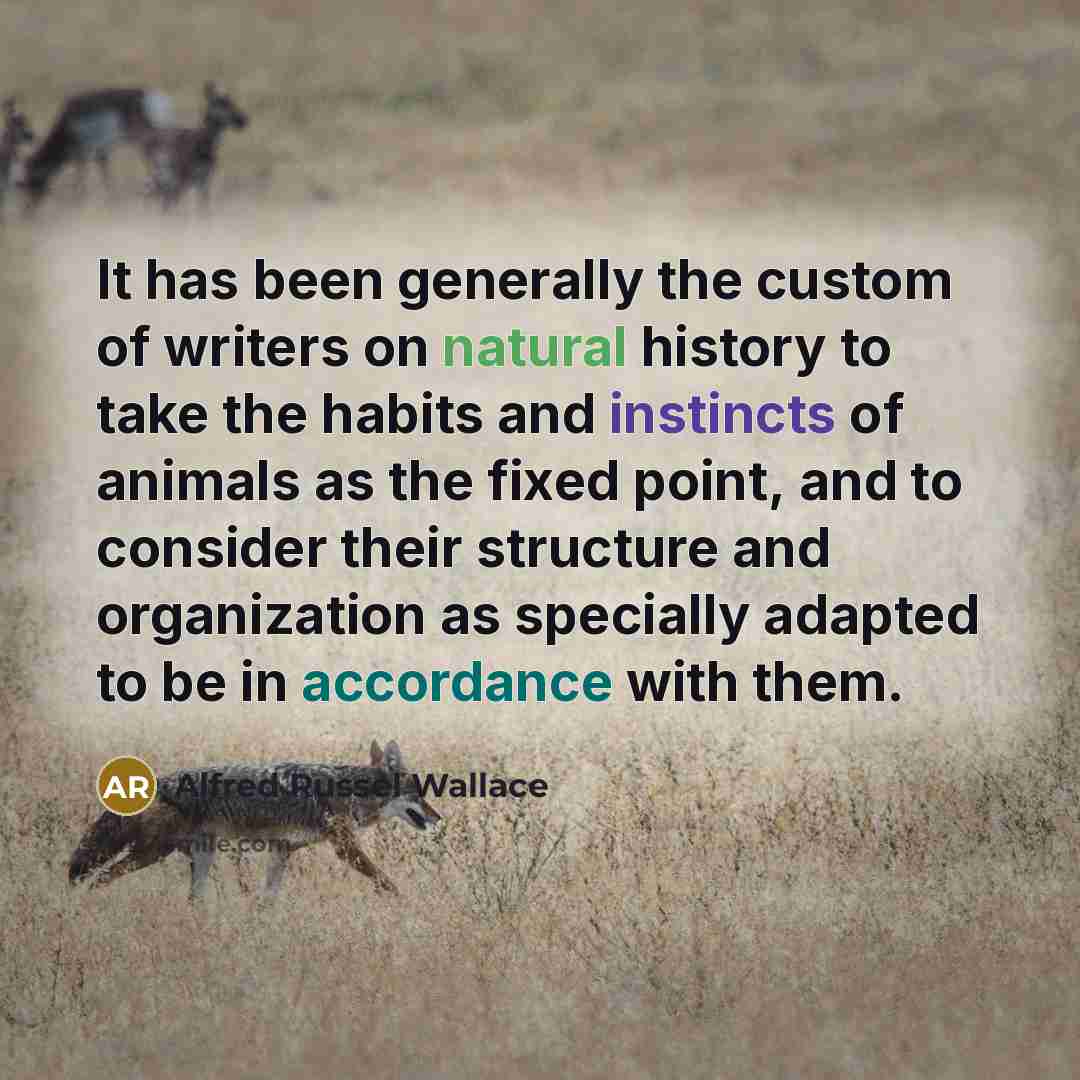 “It has been generally the custom of writers on natural history to take the habits and instincts of animals as the fixed point, and to consider their structure and organization as specially adapted to be in accordance with them.” quote by Alfred Russel Wallace