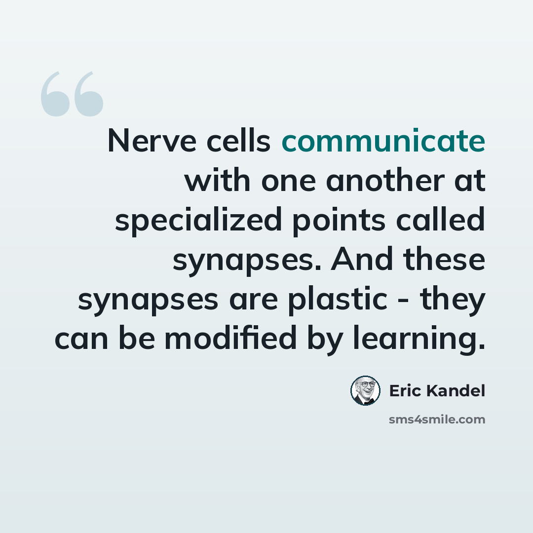 “Nerve cells communicate with one another at specialized points called synapses. And these synapses are plastic - they can be modified by learning.” quote by Eric Kandel