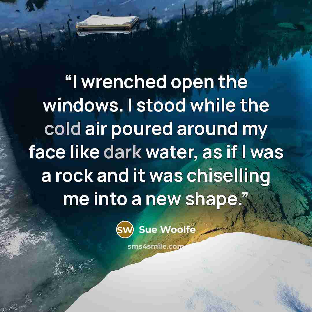 “I wrenched open the windows. I stood while the cold air poured around my face like dark water, as if I was a rock and it was chiselling me into a new shape.” quote by Sue Woolfe